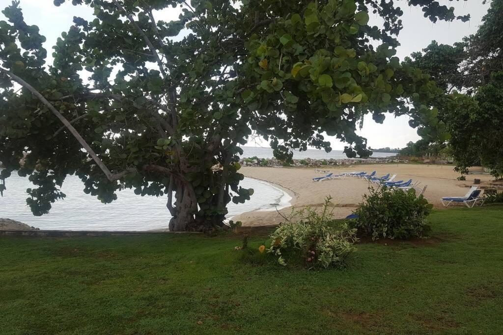 Negril Condo By The Beach Apt. 194 Point Village Ngoại thất bức ảnh